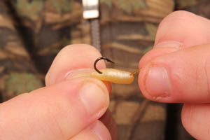 Step 4. Push the grub over the hook eye , making sure the hooklink exits in line with the hook point.