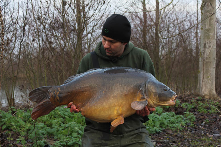 Last gasp whacker for Lewis weighing in at 55lb 8oz
