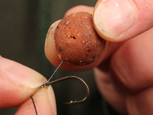 Short hairs can help to hook carp feeding tight to the bottom