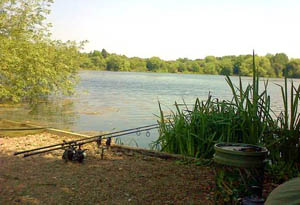 Rods out on Thorney Weir, home to some stunning carp.