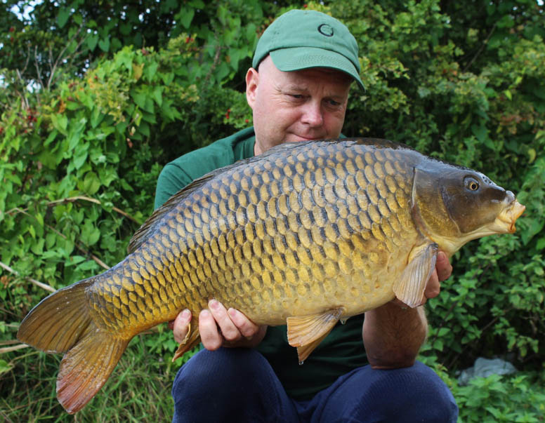 This stunning young common was returned none the worse from its capture.