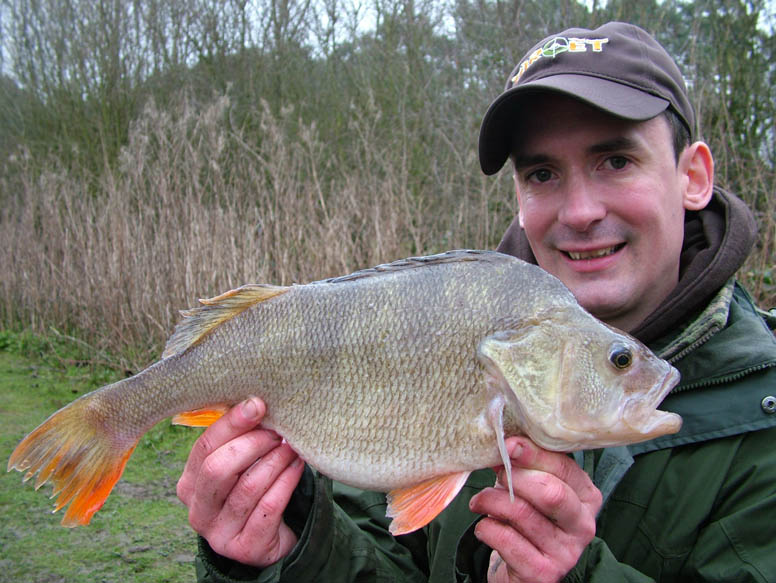 Perch are a species that are often synonymous with cold winters, yet autumn and the early winter months of September, October and November are a great time to target perch.