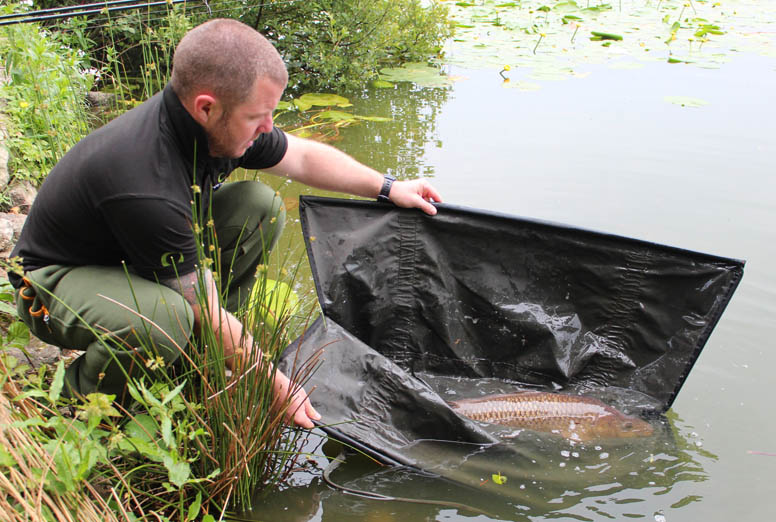 Another jungle carp being returned. This one was caught with the rig placed in over 10 inches of silt!