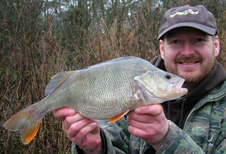 The needle bounced a couple of times, and soon settled on 3lb 1oz. The biggest perch I have had for a couple of years.