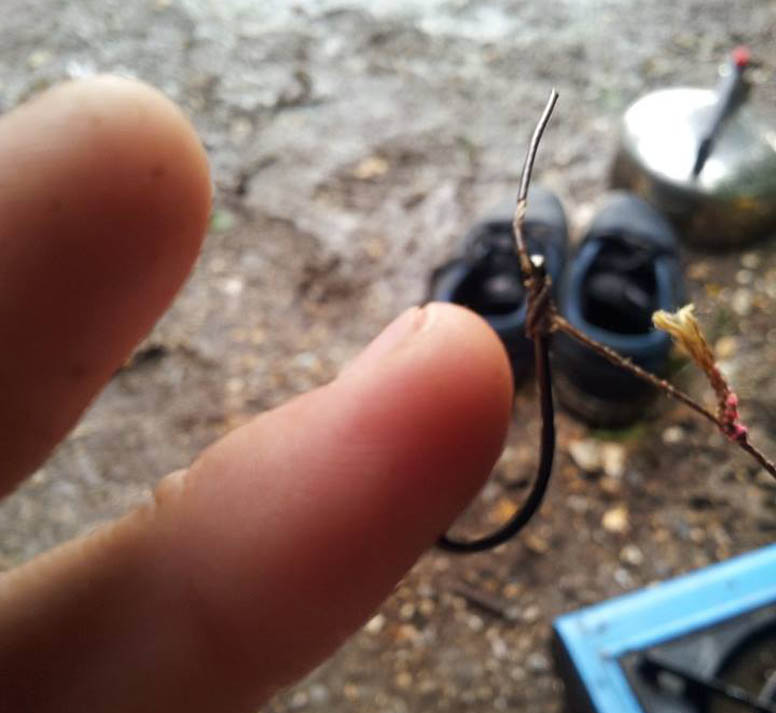 As I was setting up my first rod it slipped off my bivvy and the hook went into my finger!