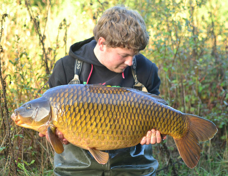 It was a proper character with only one eye, and weighing in at 29lb 8oz it was the biggest common I had caught from the lake.