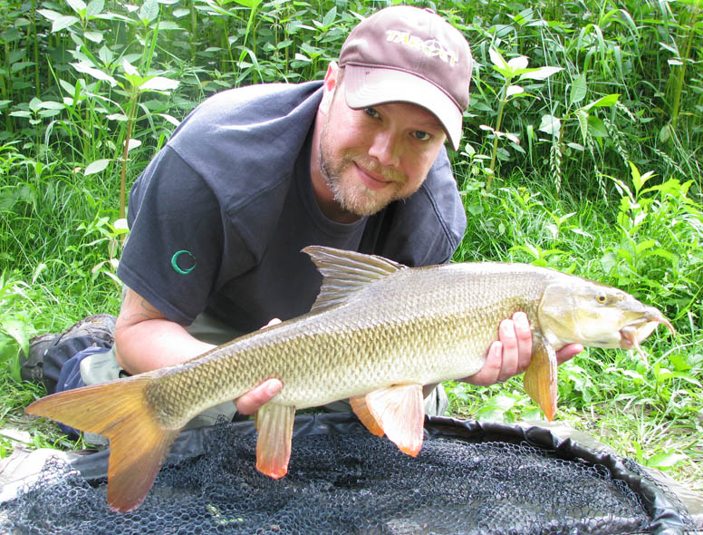 I managed a succession of fish over a couple of sessions, from a supposedly out of sorts river in the heat of the day.