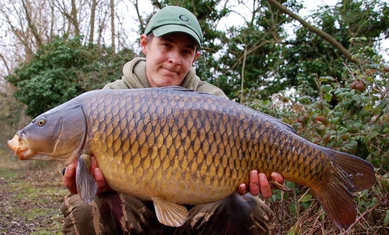 A lovely early spring common for Chewy.