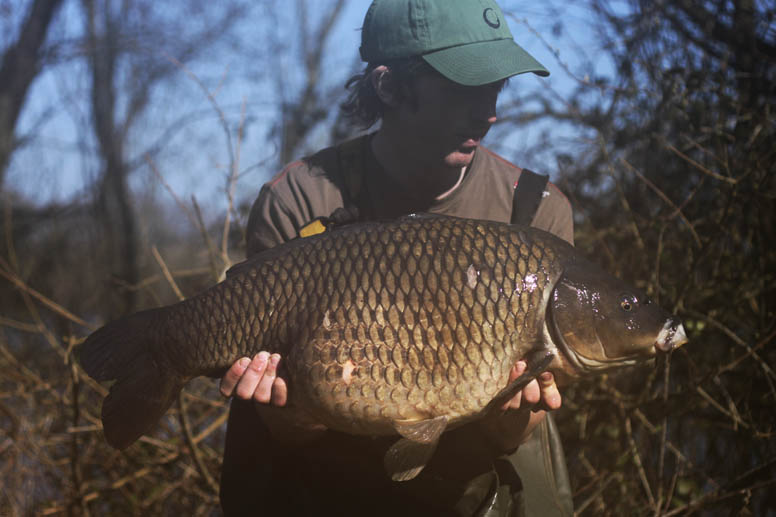 I had my first bite at around 7am the following morning when the combi-rig was picked up by a 23lb 10oz common.