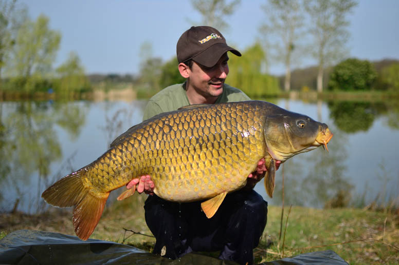 The immaculate common weighed in at 41lb, which was a new PB for Alan and what a fish to do it with!