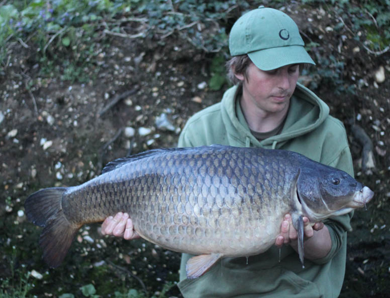 I soon had a lovely 29lb 14oz common in the net.