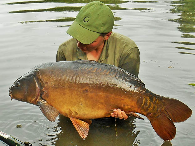After a worthy fight I slid the net under a beautiful looking mirror that went 29lb 10oz!