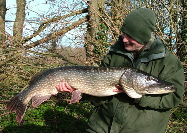 My usual partner in crime Alan Stagg had had some cracking pike to just over 27lb...