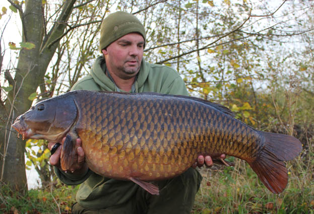 The following day I managed another bite, which resulted in a stunning common weighing 31lb 15oz.