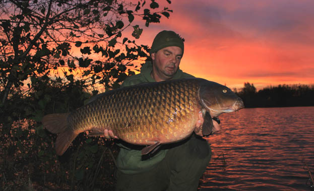 This stunning large common looked a real picture and in itself speaks a thousand words!