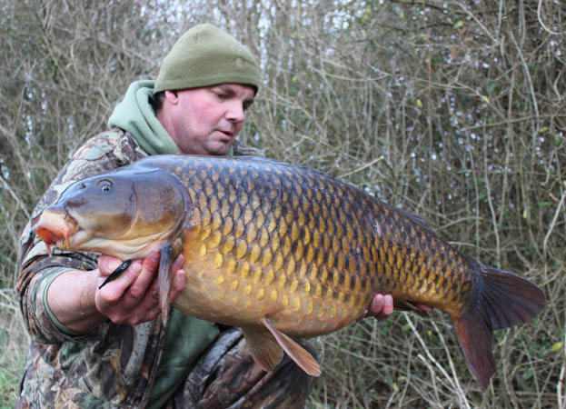 After a spirited battle, a 26lb common was carefully unhooked on the mat. I do love a common and even more so in their full winter colours!