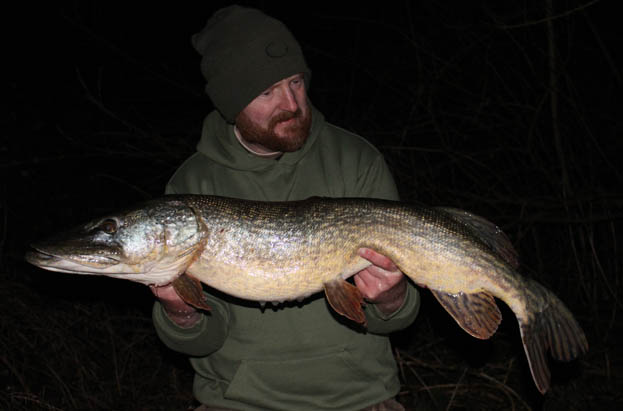 Although I didn't catch any proper lumps, the best was this old warrior of spot on 18lb on the last day of the month.