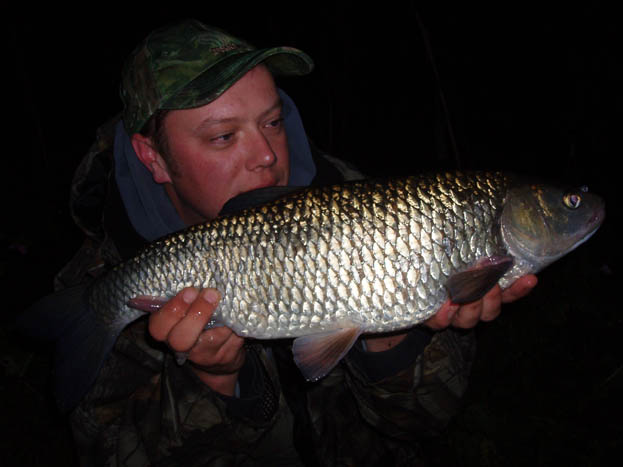 You can always throw some breadflake about for chub or go trotting for dace, unless it’s dark then I would opt for lobworms or cheesepaste on one rod for the chub with a ‘sleeper’ barbel rod dropped in the margin. At least you’re out and about.