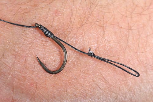 Step 8. A well tied Knotless Knot Rig will catch more than a poorly tied ‘complex’ rig.