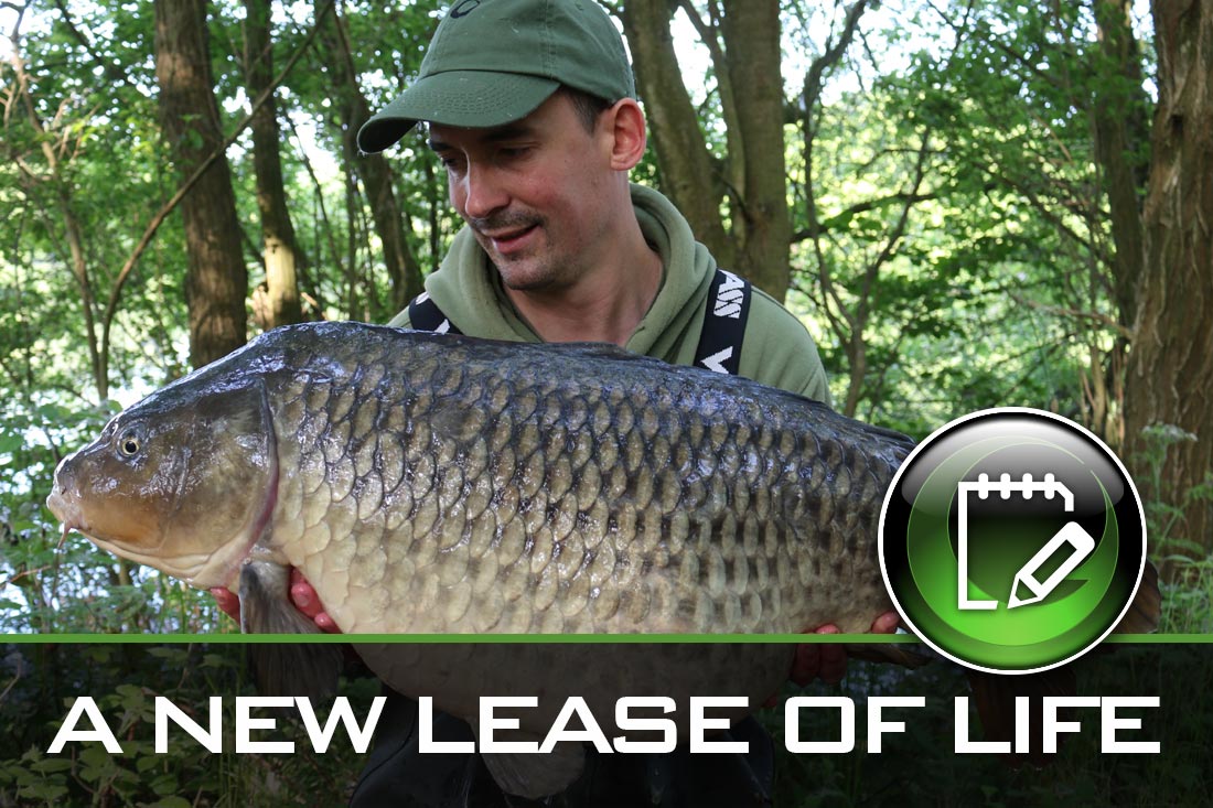 carp fishing a new lease of life
