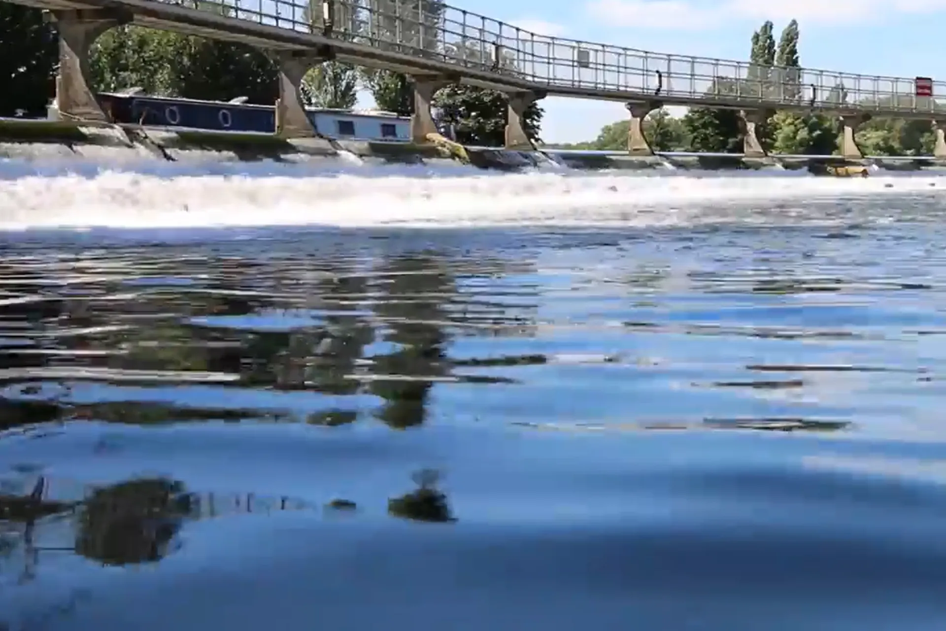 Catching Thames Carp – The ‘Specialized’ Approach – Video