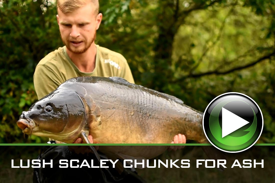 Carp Fishing ~ Lush Scaley Chunks for Ash ~ Video