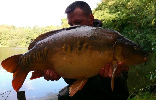 lee-local-water-mirror-with-ronnie-rig
