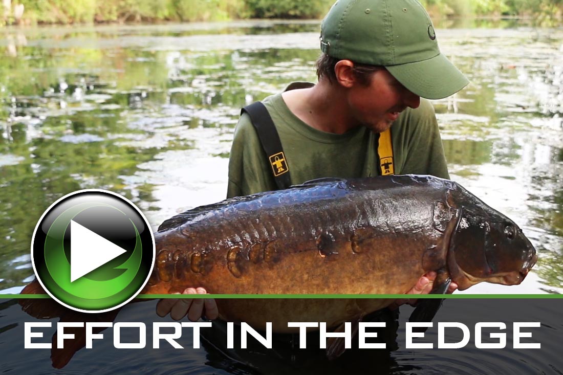 Carp Fishing ~ Effort In the Edge ~ Video