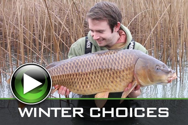 Carp Fishing Videos - Carp Fishing Making The Right Choices In Winter 800x533