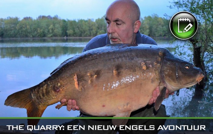 tommy decleen the quarry