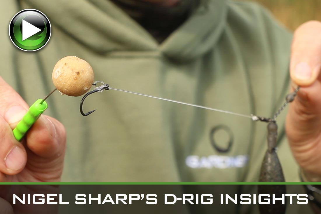 carp fishing d-rig insights nigel sharp