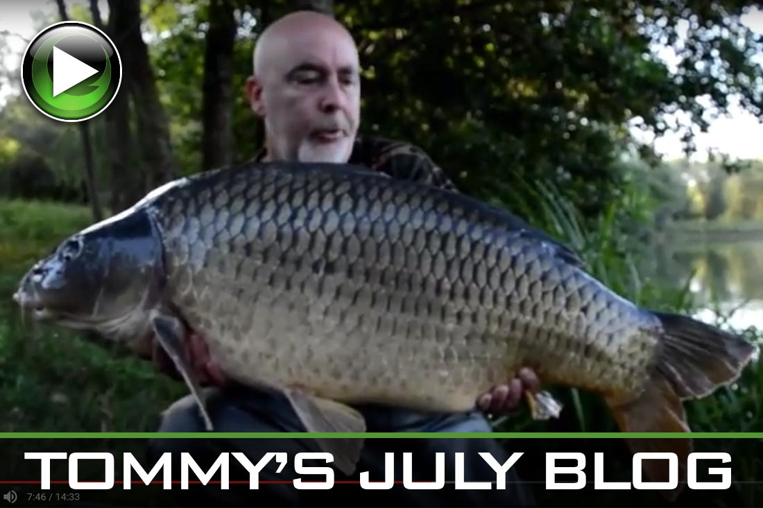 carp fishing tommys july blog featured
