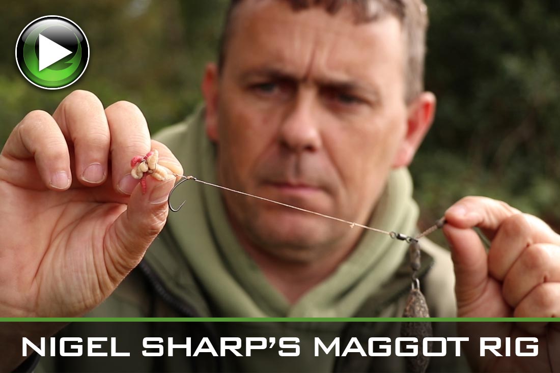 Nigel Sharp's Favourite Maggot Rig and Lead Set-Up