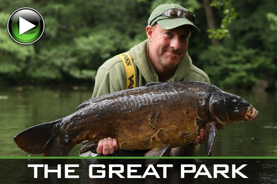 Carp Fishing ~ The Great Park ~ Video