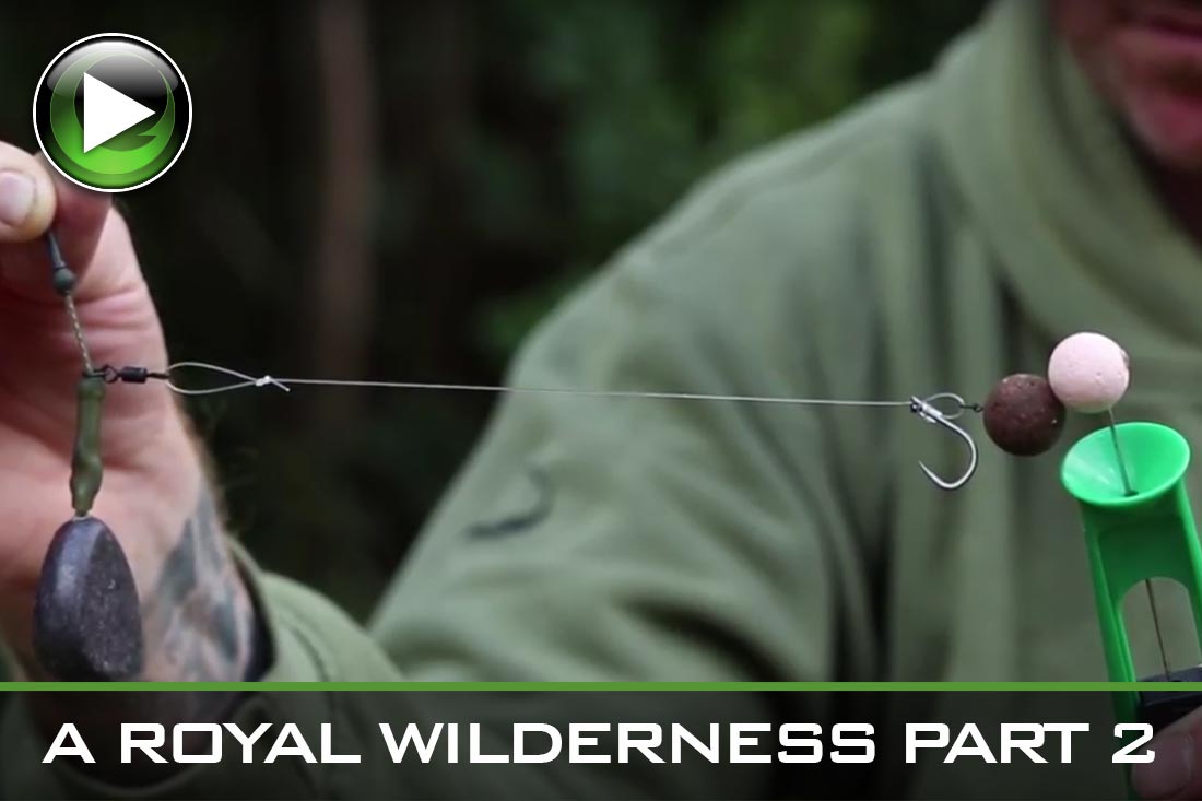 carp fishing royal wilderness part 2 featured video
