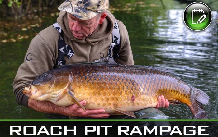carp fishing roach pit rampage featured