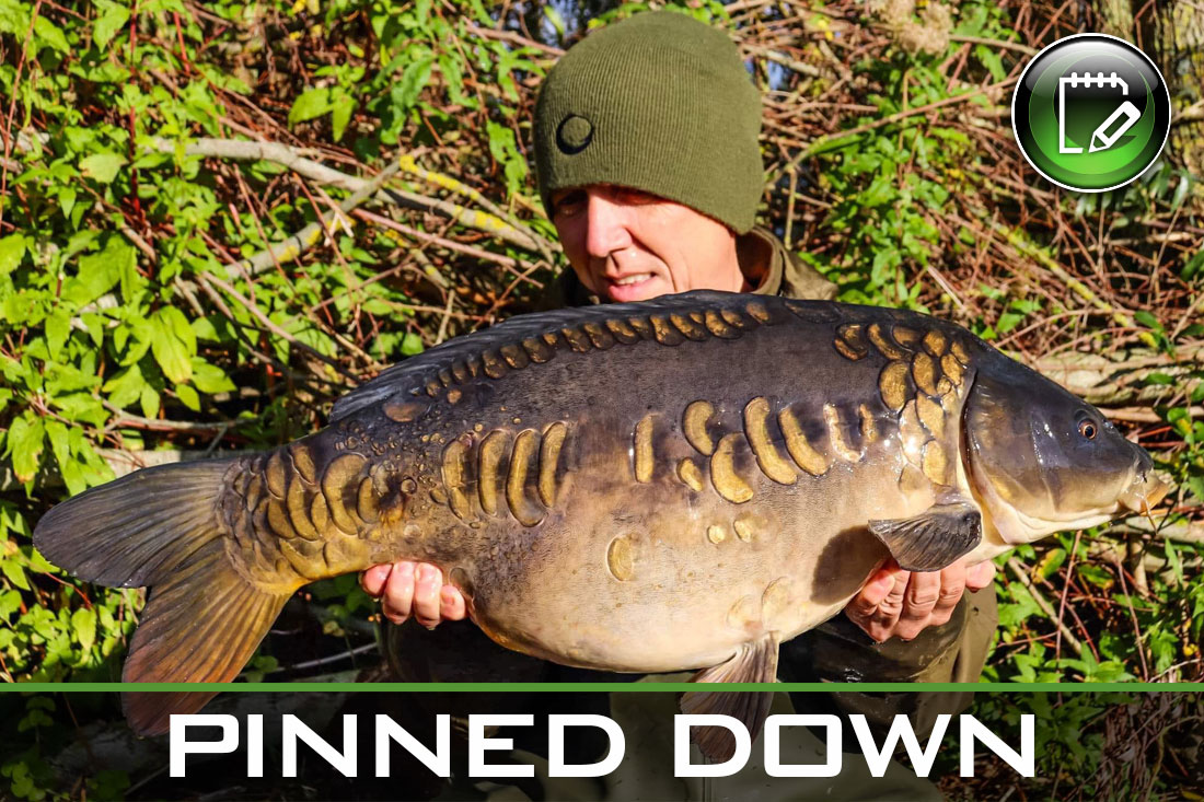 carp fishing pinned down featured