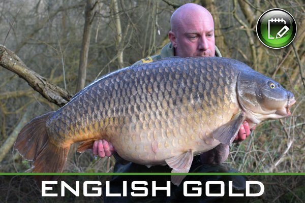 The Only Way is Yateley - Carp Fishing English GolD FeatureD 600x400