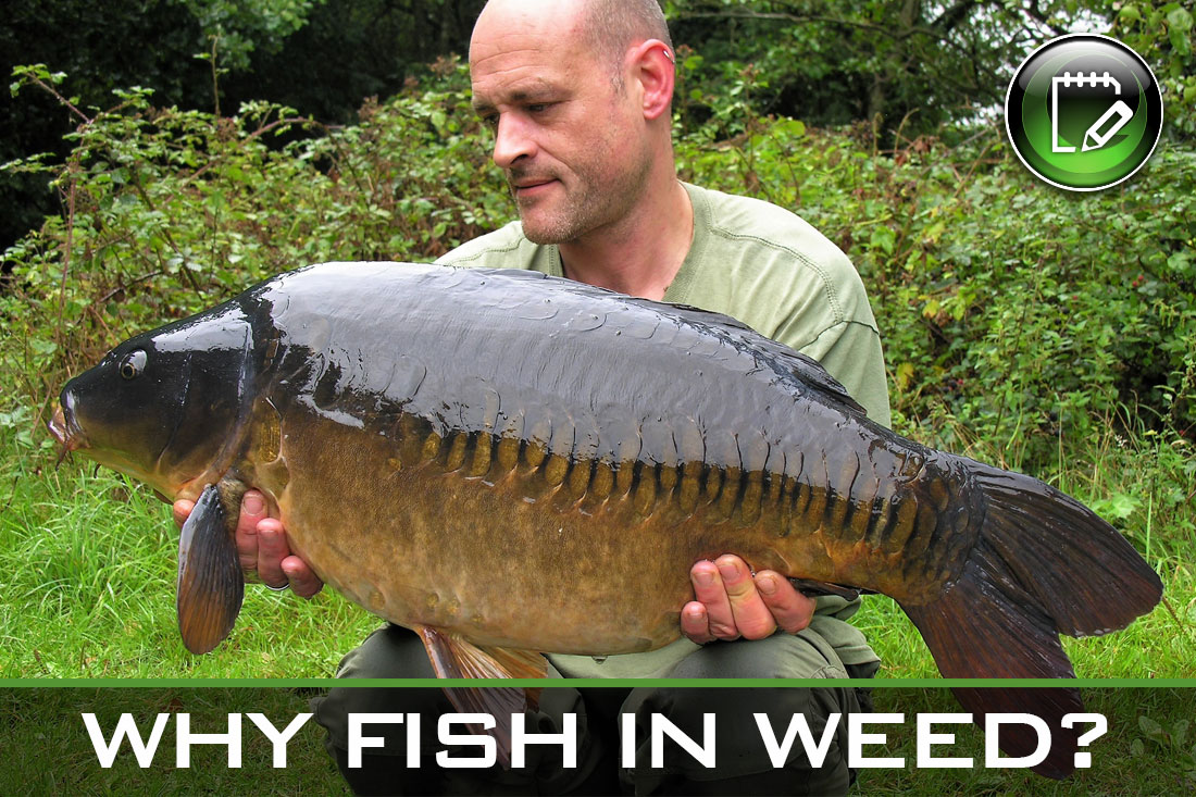 carp fishing why fish in weed featured