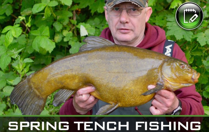 coarse fishing spring tench fishing featured