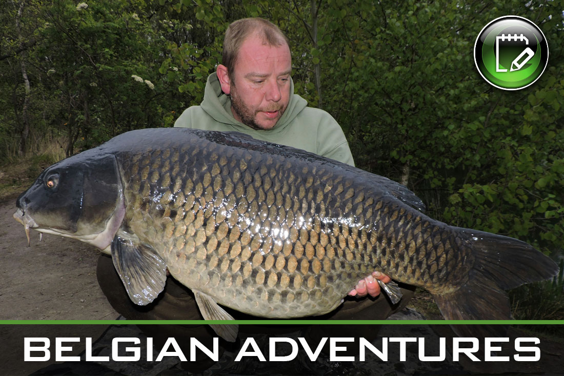 carp fishing belgian adventures featured