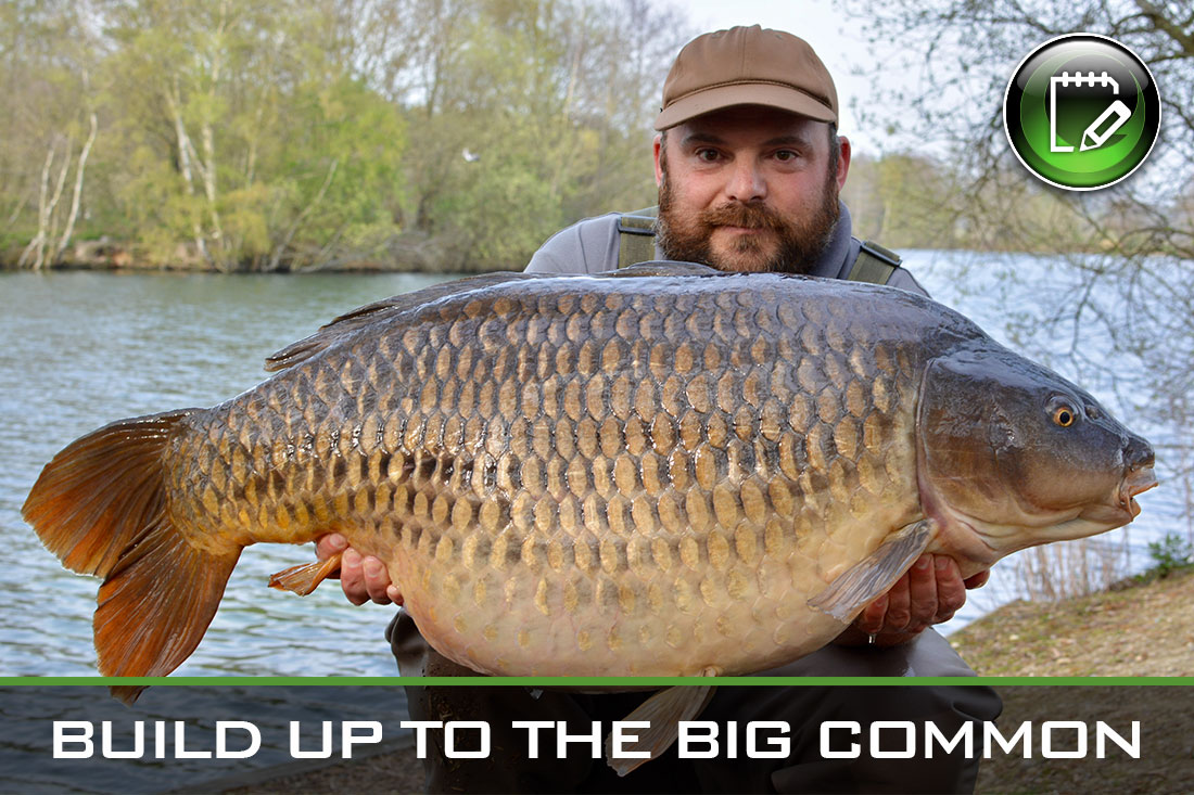 carp fishing build up big common featured
