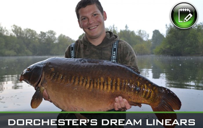 carp fishing dream linears featured