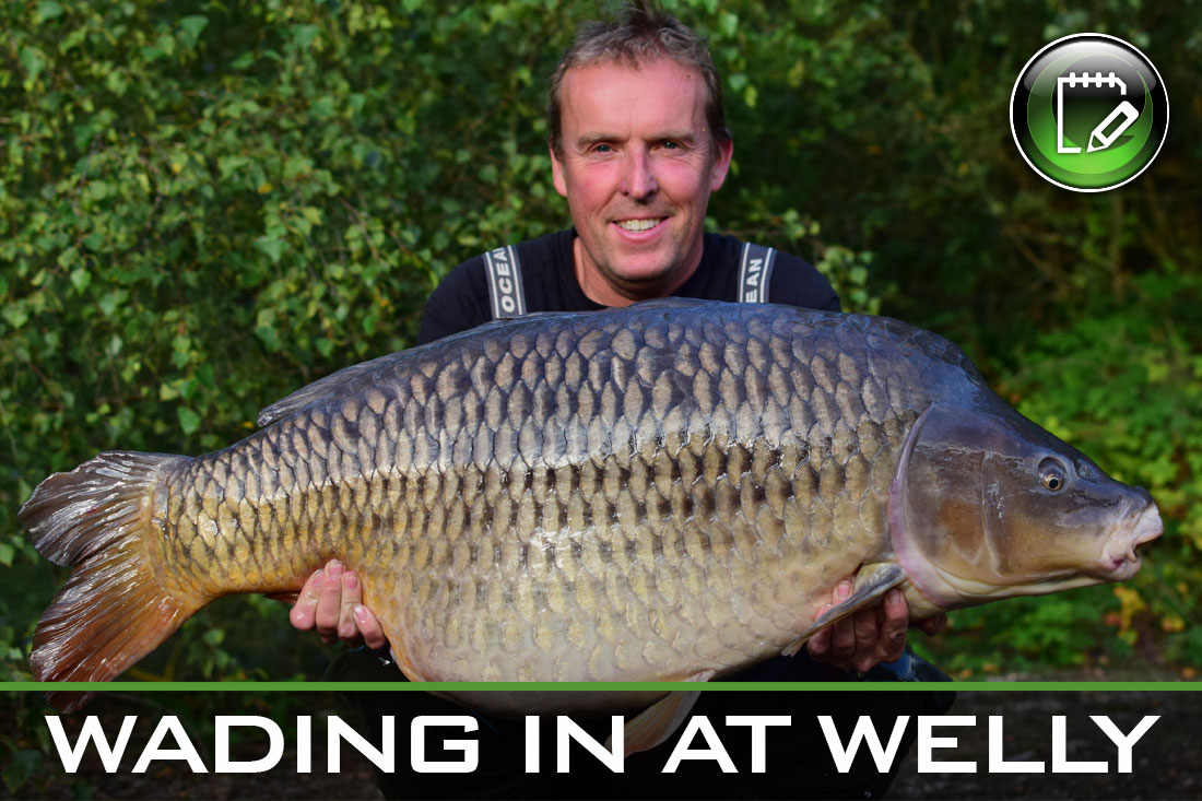 carp fishing wading in at welly featured