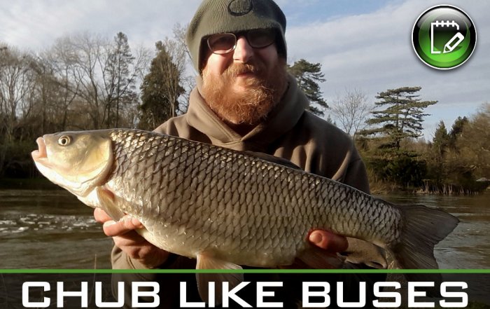coarse fishing chub like buses featured