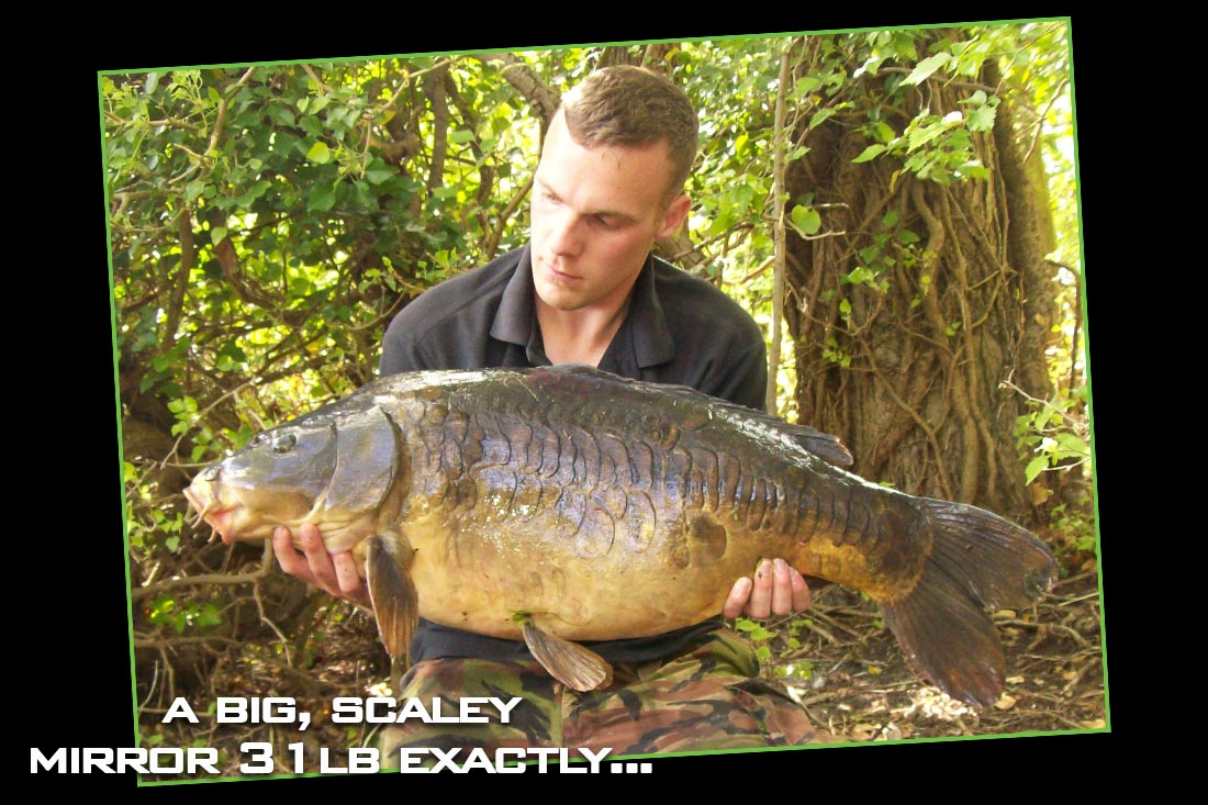 carp-fishing-into-the-unknown-31lb-scaley-mirror