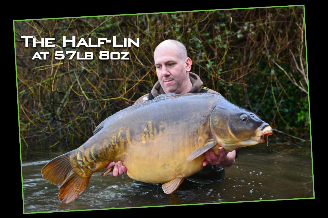 carp-fishing-when-you-least-expect-it-the-half-lin-57lb-8oz-1