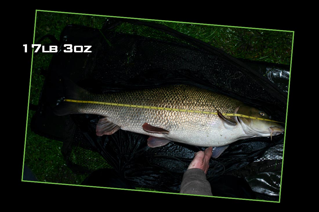 coarse-fishing-my-barbel-edges-tucked-away-17lb-3oz-barbel