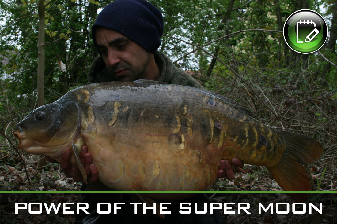 carp fishing power of the super moon featured