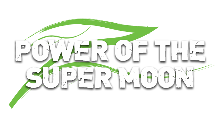 carp-fishing-power-of-the-supermoon-title